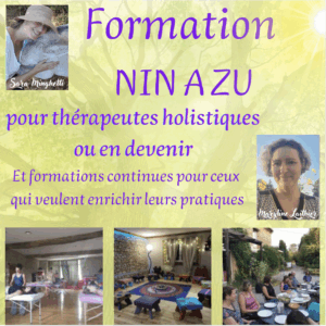 miniature formation nin a zu